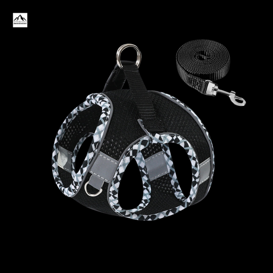 No-Pull Reflective Dog Harness With Leash Set