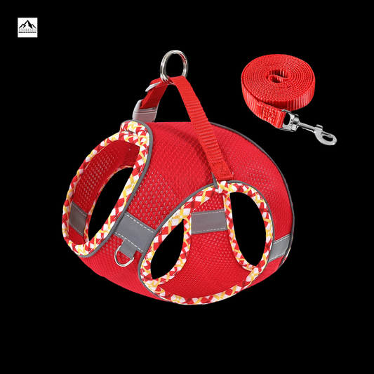 No-Pull Reflective Dog Harness With Leash Set